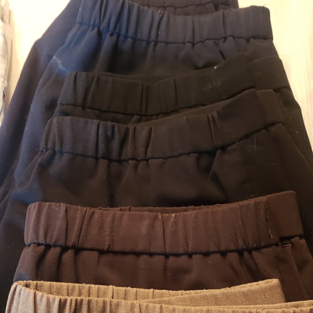 Bundle - Briggs New York and Studio Works Elastic Pants - Petite - 6 pair